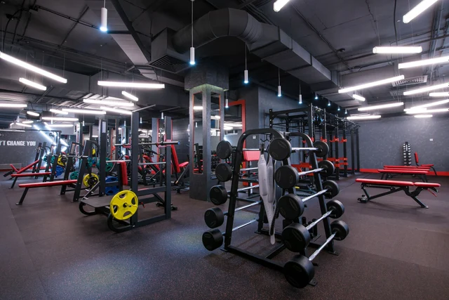 FitLife Oasis - Elevate Your Fitness Journey in Our State-of-the-Art Gym